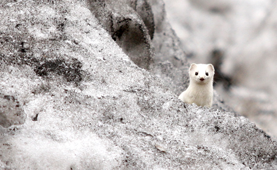 Fot. Maks Michalczak