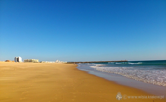 Fot. Maks Michalczak