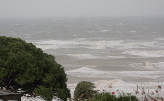 Fot. Maks Michalczak